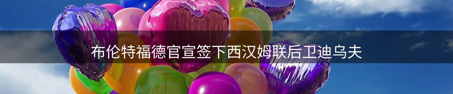 今日动态