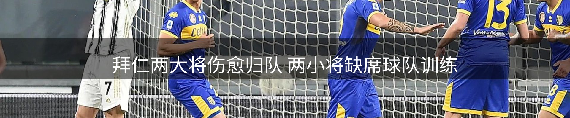 今日动态