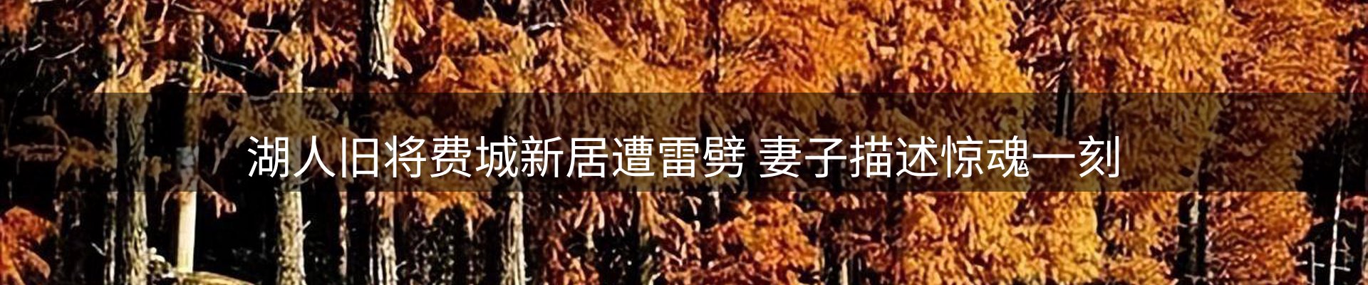 今日动态